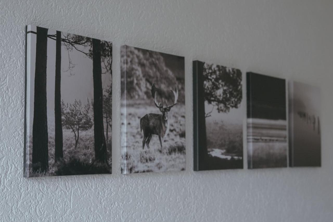 No 19 In The Black Forest St. Blasien Luaran gambar