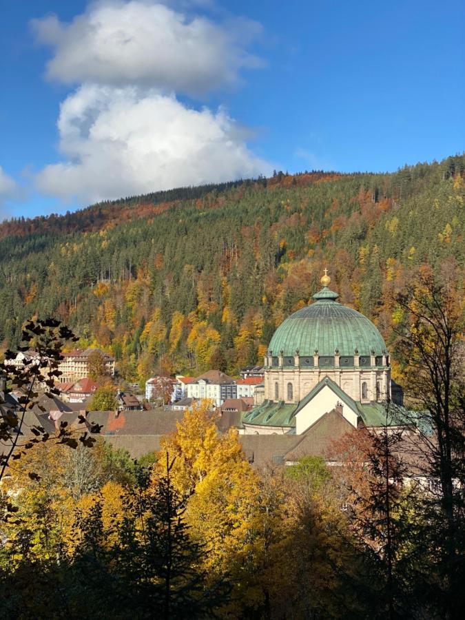 No 19 In The Black Forest St. Blasien Luaran gambar