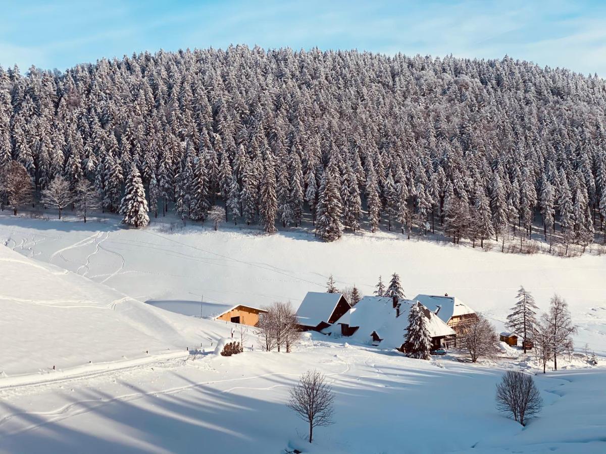 No 19 In The Black Forest St. Blasien Luaran gambar